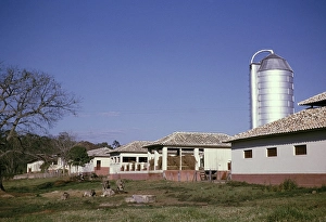 Silos barns stables calves grazing, Fazenda Sant Anna, Campinas, Brazil, South America 1962, South America