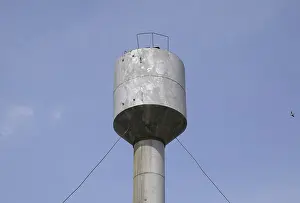 Silver Water Tower among green grass and trees