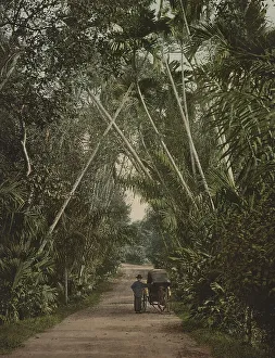 Singapore, Street in Tanglia, Historic