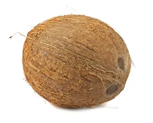 Single brown coconut isolated on white background