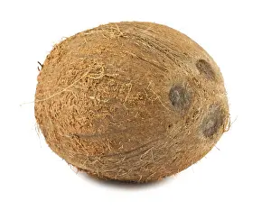 Single ripe brown coconut isolated on white background