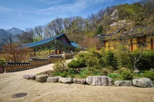 Sinheungsa Buddhist temple in Seoraksan National Park
