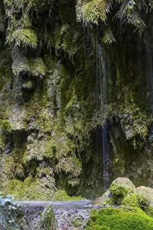 Framed Print : Sintered rock overgrown with mosses