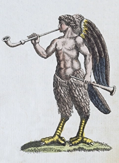 Siren, mythical creature
