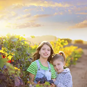 Sister kid girs farmer hug in vineyard harvest in mediterranean autumn field at sunset