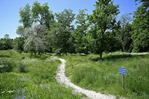 Site of the destroyed village of Fleury-devant-Douaumont