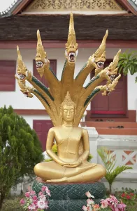 Sitting Buddha statue at Wat Mai Suwannaphumaham