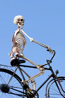 Skeleton riding a bike