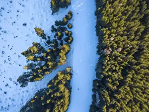 Ski resort. A ski run on the edge of a spruce forest