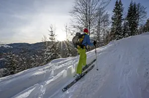 Ski tourer in a snowy forest, ascent to the Simetsberg