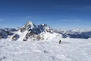 Ski tourers descending from the summit of Monte Cevedale on the Zufallferner