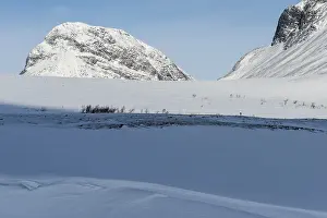 Skiers in the Visttasvaggi valley (Vistasdalen)