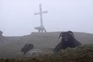 Skudden in the fog