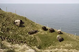 Skudden on Heligoland