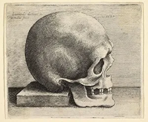 Skull in profile to the right, after Leonardo da Vinci