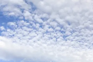 Sky with fluffy (also called mackerel) clouds