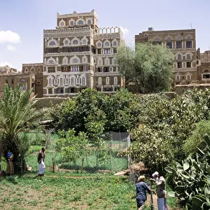 Skyline in the old town of Sanaa, UNESCO World Heritage Site, Yemen, Asia