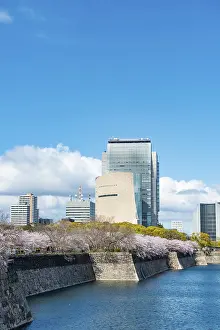 Framed Print : Skyscrapers and cherry blossoms on the moat with water at Osaka Castle