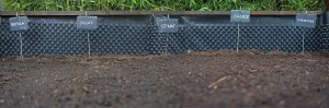 Slates labelled with different vegetables in a raised bed