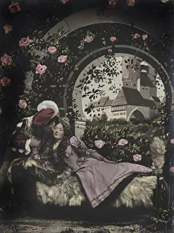 Sleeping Beauty, depiction of a fairy tale