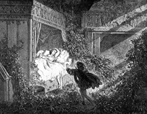Sleeping Beauty, prince finds sleeping princess in a room full of roses