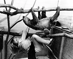 Sloth and girls climbing, England, Great Britain