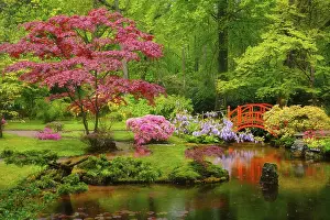 Category Buddhism Prints: Small bridge in Japanese garden