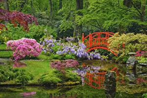 Small bridge in Japanese garden