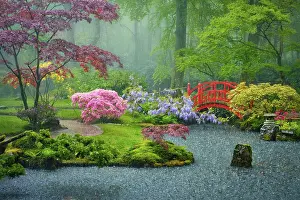 Category Buddhism Prints: Small bridge in Japanese garden in rain