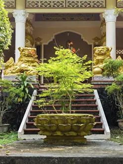 A small bright green tree in front of a Buddhist temple
