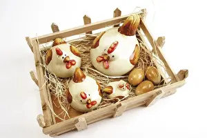Small chicken pen