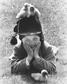 Small ducks are sitting on the riding helmet of a boy