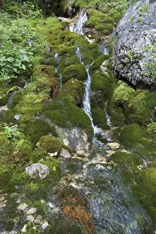 Small inlet to the Johannesbach