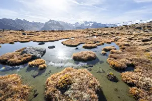 Small lake on the high plateau of the Gurgler Seenplatte
