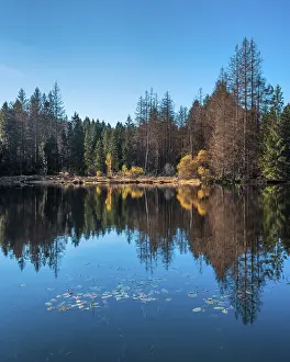 Small lake in the Thuringian Forest in autumn