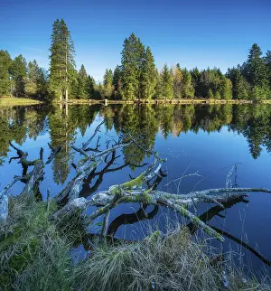 Small lake in the Thuringian Forest under blue sky
