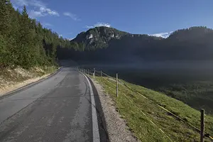 A small, light morning fog rising above the meadow by the asphalt road