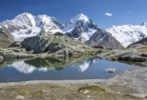 Small mountain lake on Fuorcla Surlej with Piz Bernina, Piz Roseg and Piz Glueschaint, Silvaplana, Bernina Alps, Upper Engadine, Engadine, Grisons, Switzerland, Europe