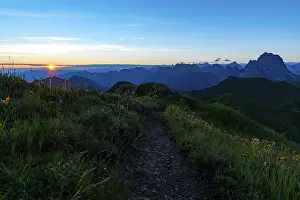 Small mountain path with flower meadow and Allgaeu Alps behind it at sunrise