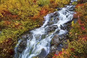 Small mountain stream with colourful vegetation in autumn