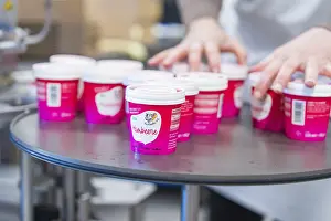 Category Historic EN Prints: Small pink ice-cream tubs stand on a table