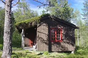 Small rustic wooden hut with a red window and a door in a green forest