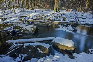 A small stream flows through the forest