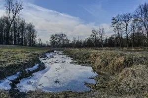 A small stream flows through a wintry meadow