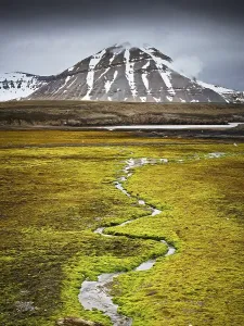 Category Scandinavia Prints: Small stream meandering through a lush field covered in moss