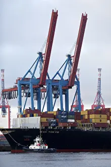 Small tug VB Perfect with large container ship MSC Tokyo at the Burchardkai container terminal in the Port of Hamburg
