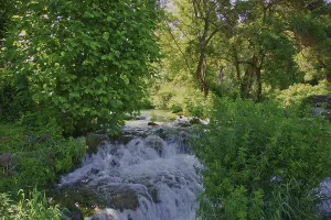 A small waterfall flows through a green