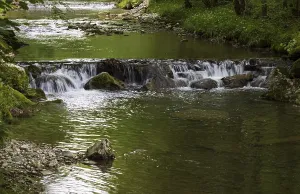 Small waterfall, Wangauer Ache flows through a forest