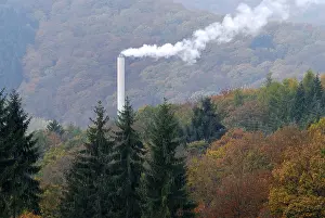 Smoke coming from a smokestack in the middle of a forest