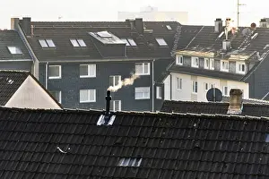 Smoke plume from a chimney over densely built residential area in the evening light